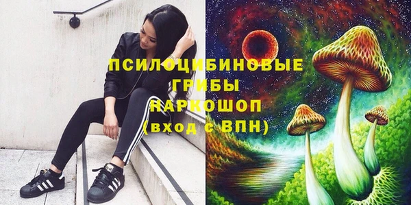 спиды Алексин