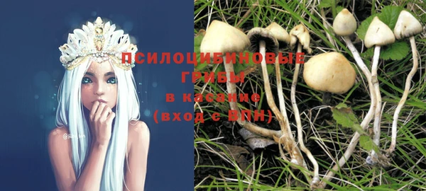 a pvp Алзамай