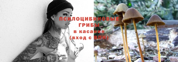 спиды Алексин