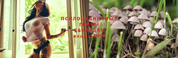 спиды Алексин