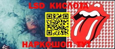 крисы Камышлов
