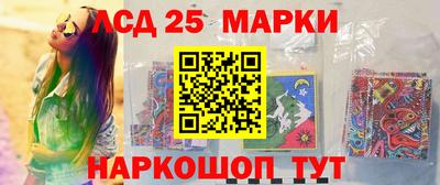 крисы Камышлов