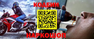 крисы Камышлов