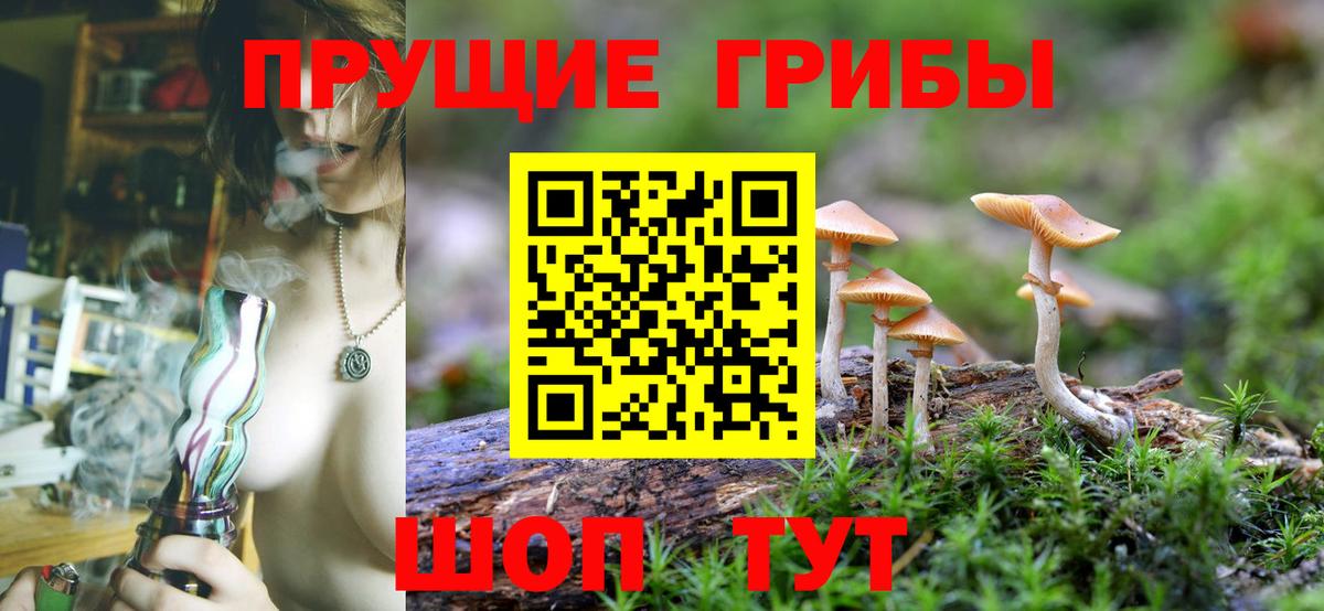 Псилоцибиновые грибы Magic Shrooms Солнечногорск